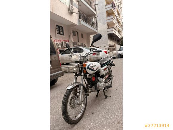 Sahibinden Kuba Çita 100R Gold