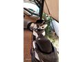 sahibinden hatasız çiziksiz  pcx 125 [2670] km de