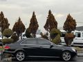 2015 E 180 ELİTE İÇİ AÇIK RENK