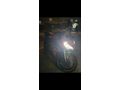 Hatasız CFmoto 250SR