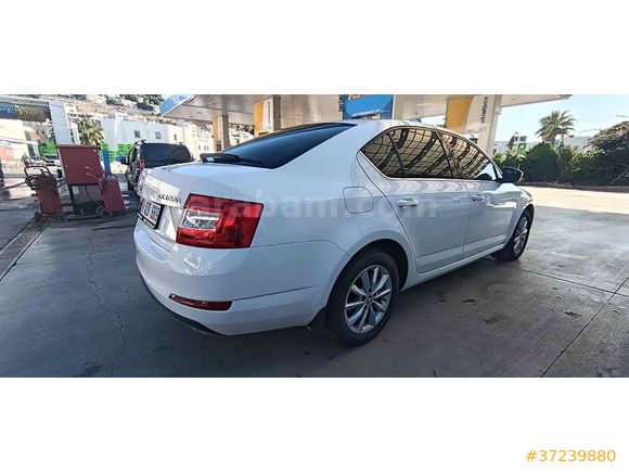 Sahibinden Skoda Octavia 1.6 TDI Style 2016 Model  350.000 km Sarı