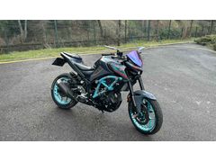 Sahibinden Yamaha MT 25 ABS Ankara