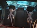 Sahibinden Hyundai Accent 1.3 Admire 2004 Model