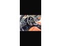 Sahibinden BMW 3 Serisi 320d Edition M Sport 2018 Model 