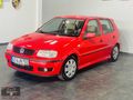 ERKAN MOTORS dan Polo