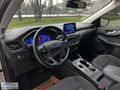 SINDIRGI OTOMOTİVDEN HATASIZ 1.5 DİZEL TİTANİUM KUGA 2020 112.KM