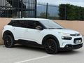 RENDA OTOMOTİV DEĞİŞENSİZ DİZEL OTOMATİK C4 CACTUS