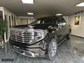 WEINGART AUTO - GMC SIERRA DENALI 3.0L DURAMAX KICKER TAM FULL