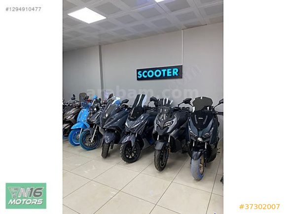 ARORA MOJİTO 50
