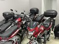 AĞAÇDELEN- YAMAHA TDM 850