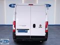 Yetkili Ford Bayinden Ducato