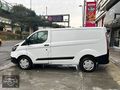 SET MOTORS FORT CUSTOM PANEL VAN