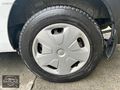 SET MOTORS FORT CUSTOM PANEL VAN