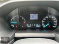 SET MOTORS FORT CUSTOM PANEL VAN