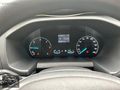 SET MOTORS FORT CUSTOM PANEL VAN