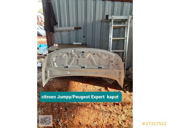 citroen Jumpy/Peugeot Expert kaput