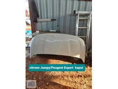 citroen Jumpy/Peugeot Expert kaput