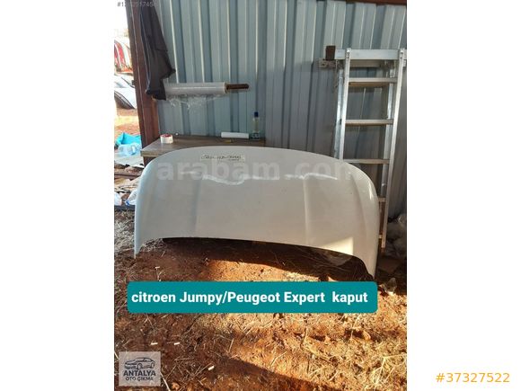 citroen Jumpy/Peugeot Expert kaput