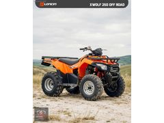 PEŞİN FİYATINA 3 TAKSİT AKS MOTOR VİPTRACK 250 OFF ROAD