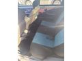 Sahibinden Fiat Siena 1.4 EL 1999 Model