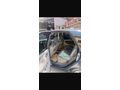 Sahibinden Renault Scenic 1.6 RXT 2001 Model 