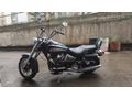 ETİKET Kanuni Caracal 200