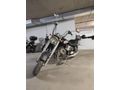 ETİKET Kanuni Caracal 200