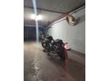ETİKET Kanuni Caracal 200