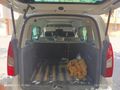 Sahibinden Citroen Berlingo 1.6 HDi SX 2016 Model