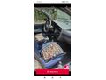 Sahibinden Fiat Palio 1.4 EL 2000 Model