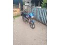 FULL ORJİNAL BİONİK 52