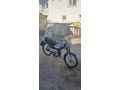 FULL ORJİNAL BİONİK 52