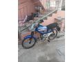 FULL ORJİNAL BİONİK 52