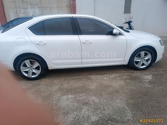Sahibinden Skoda Octavia 1.6 TDI Optimal 2015 Model