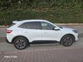 Sahibinden Ford Kuga 1.5 EcoBlue Titanium 2022 Model  190.000 km Beyaz