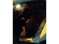 Sahibinden Renault Megane 1.6 Touch 2012 Model