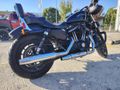 Sahibinden Harley Davidson Sportster Iron 883