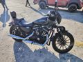 Sahibinden Harley Davidson Sportster Iron 883