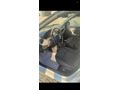 Sahibinden Dacia Logan 1.2 Ambiance 2012 Model Antalya