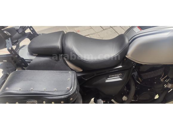 TÜRKİYE DE TE CUSTOM