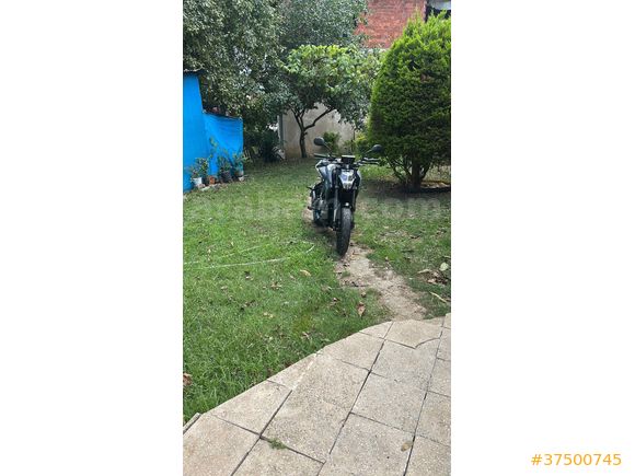 Sahibinden CFmoto 250NK Ordu