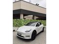 Sahibinden Tesla Model Y Standart Range 2024 Model 