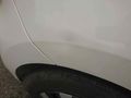 Polo BlueMotion