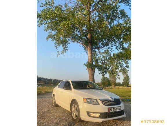 Sahibinden Skoda Octavia 1.6 TDI Optimal 2016 Model 