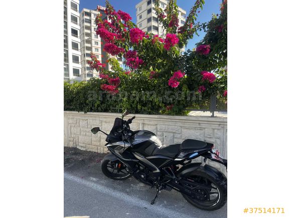 BİN GİT PODYUM GÜZELİ