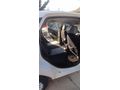 Sahibinden Fiat Linea 1.3 Multijet Easy 2012 Model