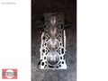 OPEL ASTRA-H Z16XER OPELASTRA-J-G AVEOINSIGNIA A16XER YARIM MOTO