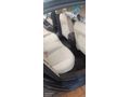 Sahibinden Opel Insignia 1.6 T Edition 2010 Model  251.000 km Mavi (metalik)
