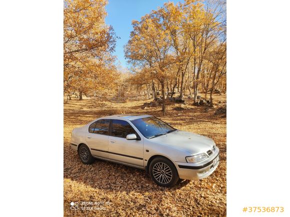 Sahibinden Nissan Primera 1.6 Special Edition 1999 Model