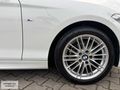 2019 model,1,18 i M one edition SANRUFLU